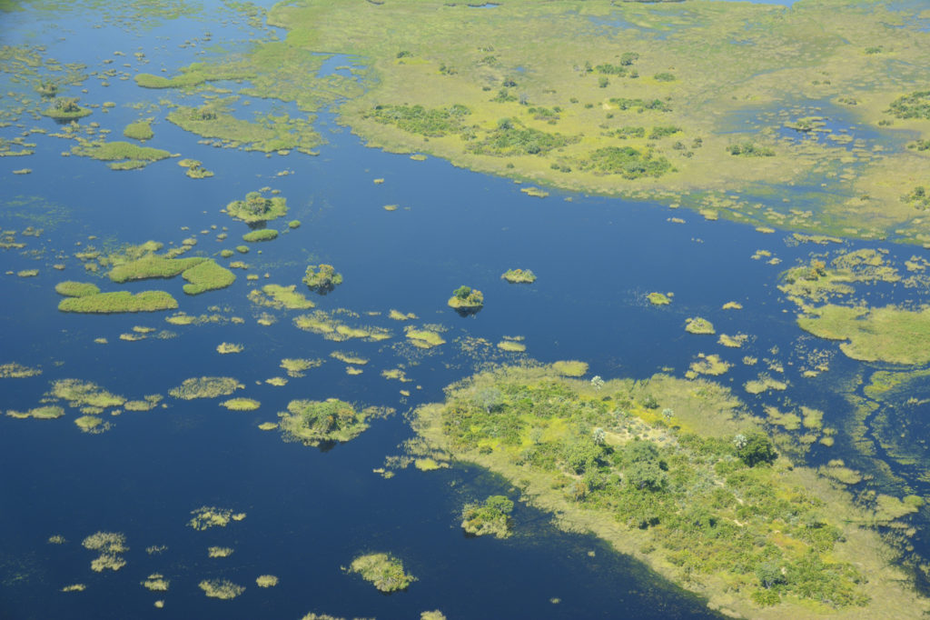 Okavango Delta - Luxe Safari Botswana | Luxe Safari