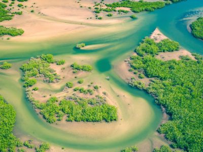 Panoramisch luchtfoto van de Sine Saloum Delta in Senegal, een Unesco Werelderfgoed met mangroven en kronkelende waterwegen - Brasschaat Travel