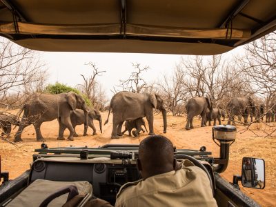 Rondreis Botswana, Zambia & Zimbabwe 02 | Luxe Safari